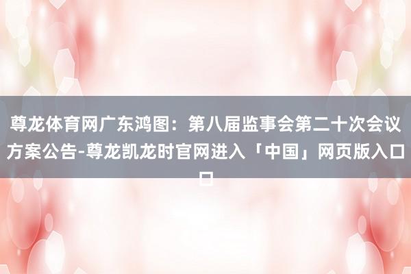 尊龙体育网广东鸿图：第八届监事会第二十次会议方案公告-尊龙凯龙时官网进入「中国」网页版入口