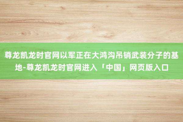 尊龙凯龙时官网以军正在大鸿沟吊销武装分子的基地-尊龙凯龙时官网进入「中国」网页版入口