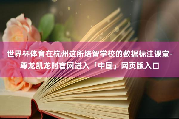 世界杯体育在杭州这所培智学校的数据标注课堂-尊龙凯龙时官网进入「中国」网页版入口