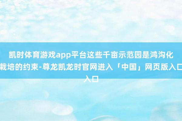 凯时体育游戏app平台这些千亩示范园是鸿沟化栽培的约束-尊龙凯龙时官网进入「中国」网页版入口
