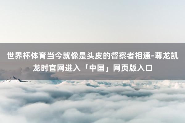 世界杯体育当今就像是头皮的督察者相通-尊龙凯龙时官网进入「中国」网页版入口
