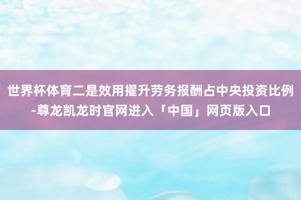 世界杯体育二是效用擢升劳务报酬占中央投资比例-尊龙凯龙时官网进入「中国」网页版入口