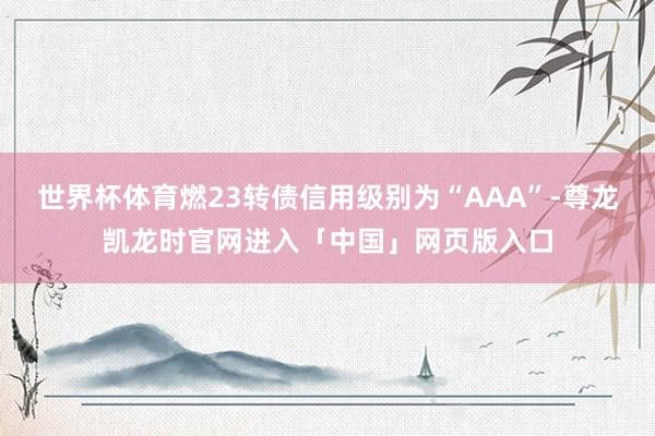 世界杯体育燃23转债信用级别为“AAA”-尊龙凯龙时官网进入「中国」网页版入口