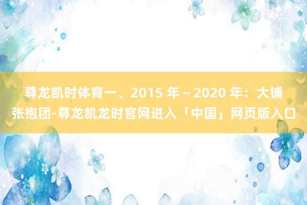 尊龙凯时体育一、2015 年～2020 年：大铺张抱团-尊龙凯龙时官网进入「中国」网页版入口